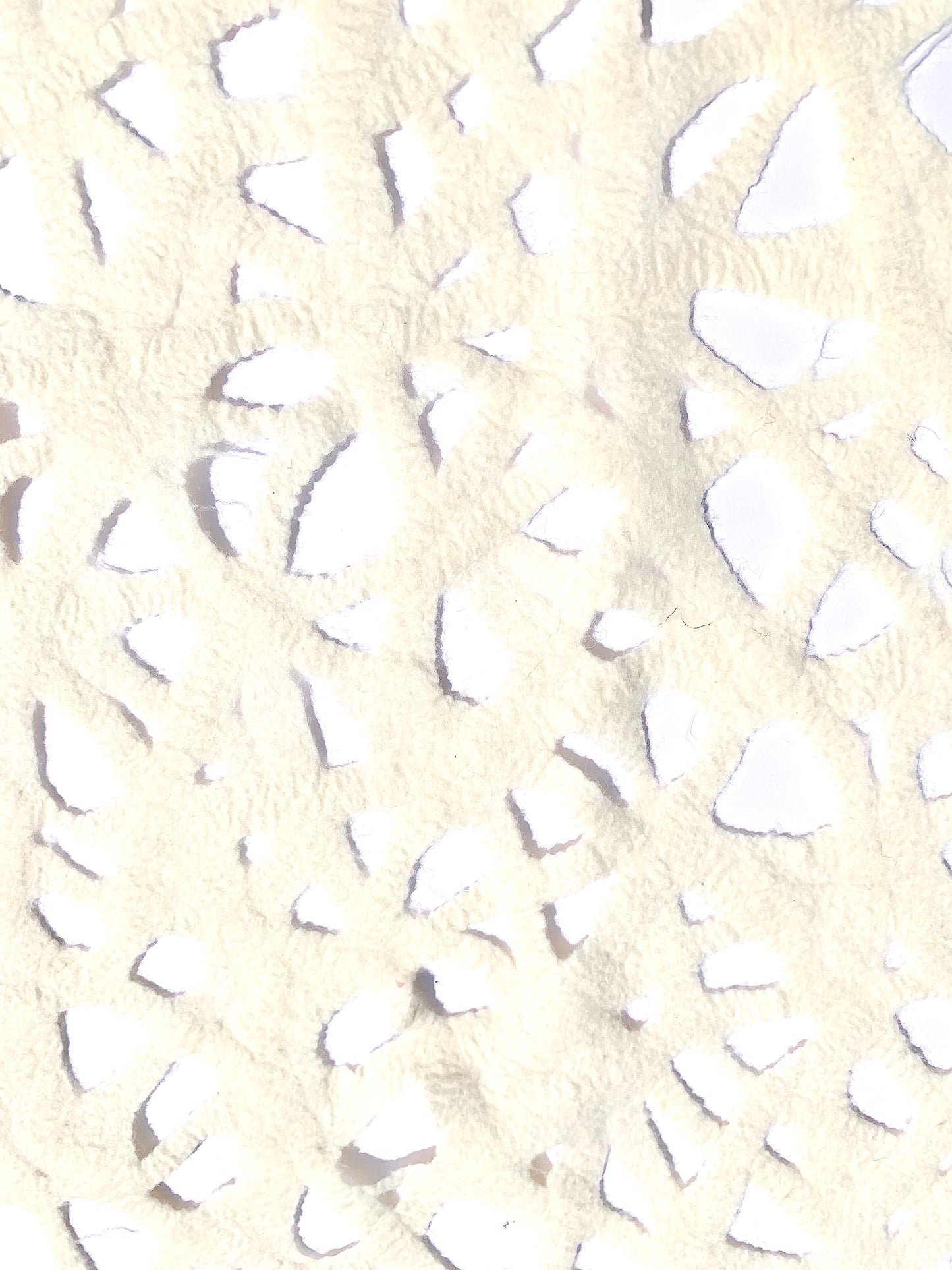 Special:Summer Snow
