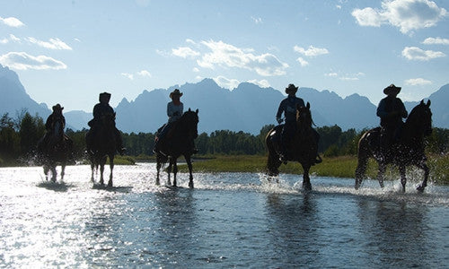 The 2016 US Kok Boru Cowboy Team